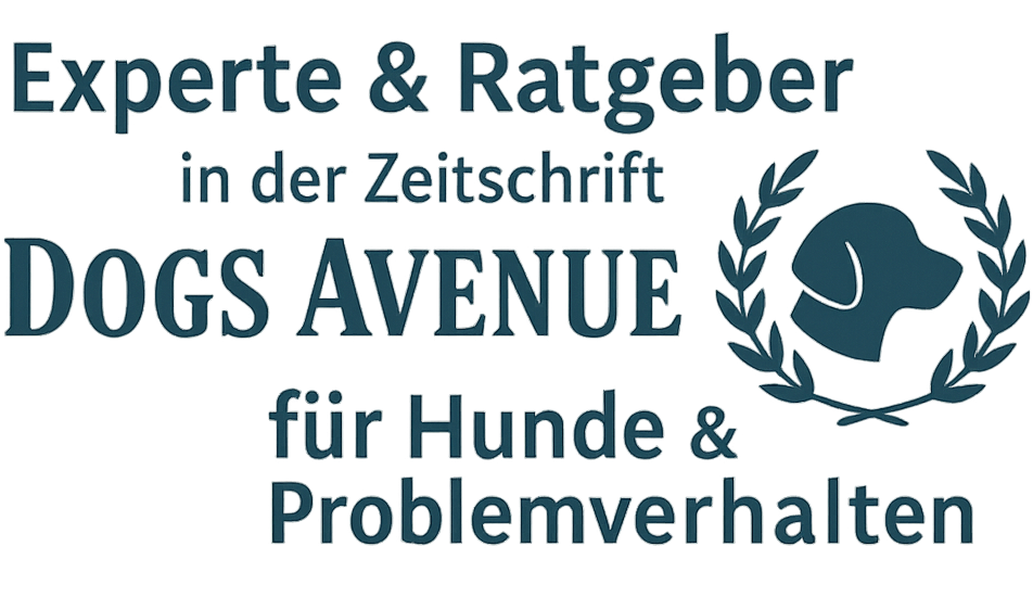 Hundeschule Nürnberg Fürth Erlangen Hunde Fachwissen