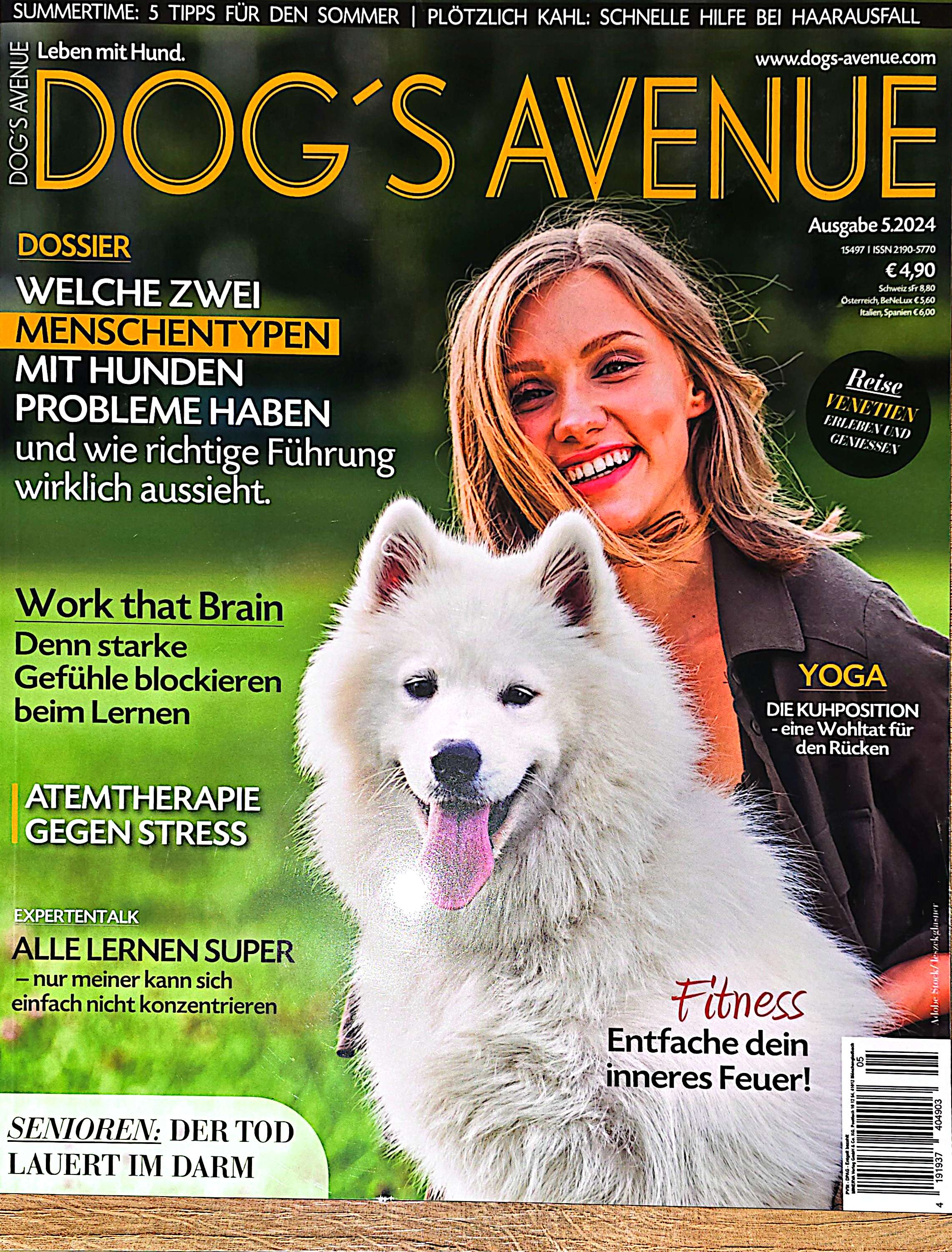 Hundeschule Nürnberg Fürth Erlangen