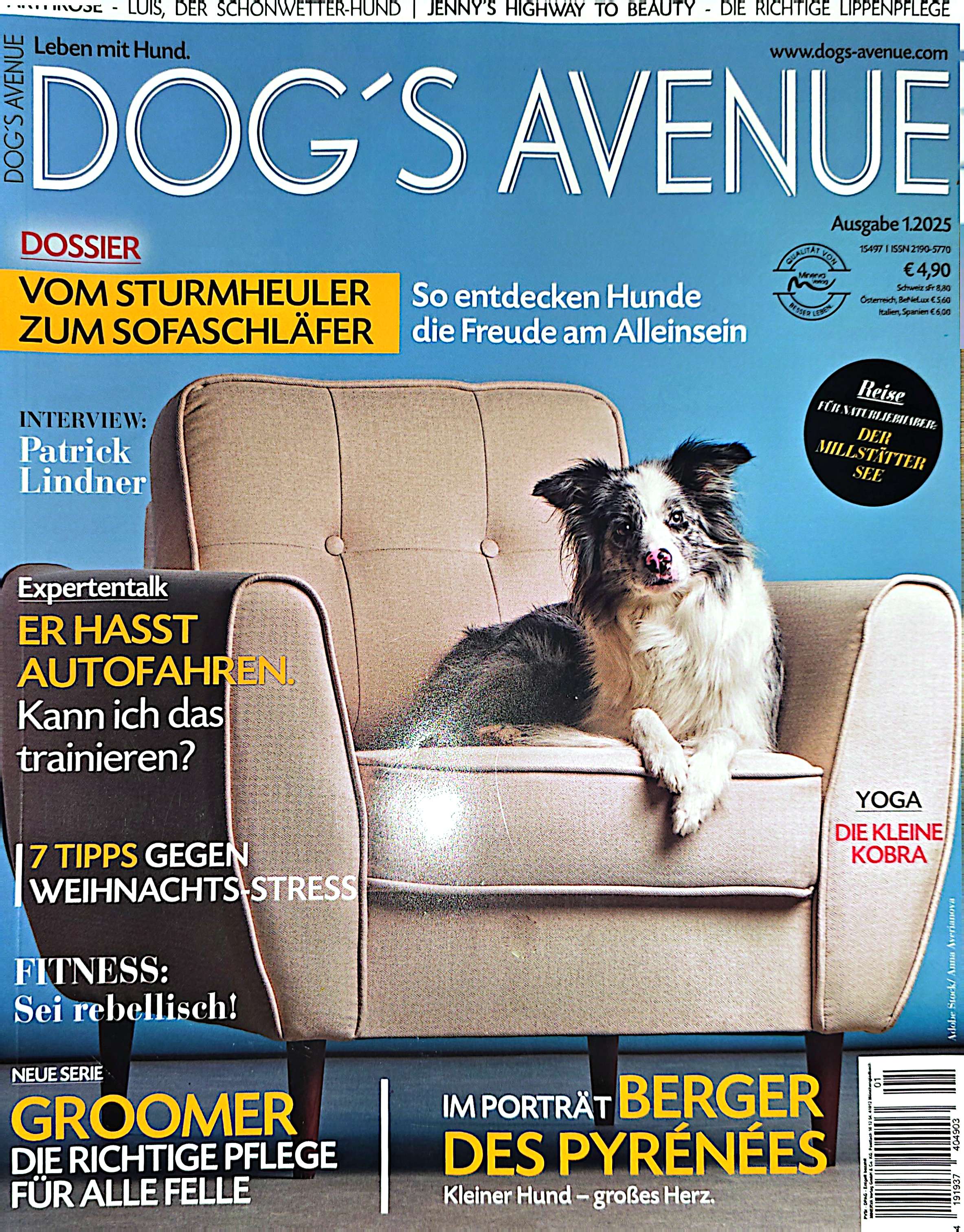 Hundeschule Nürnberg Fürth Erlangen