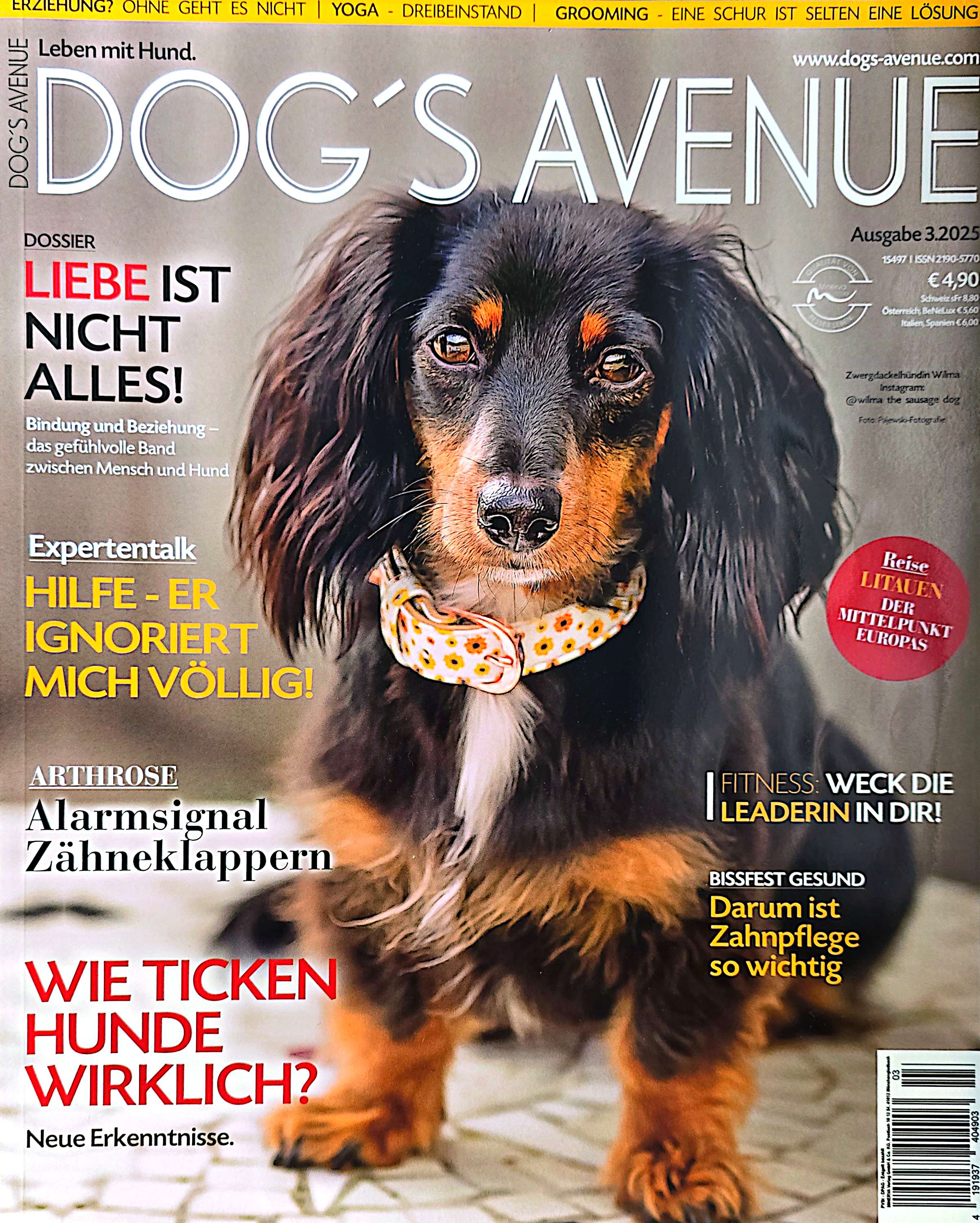 Hundeschule Nürnberg Fürth Erlangen