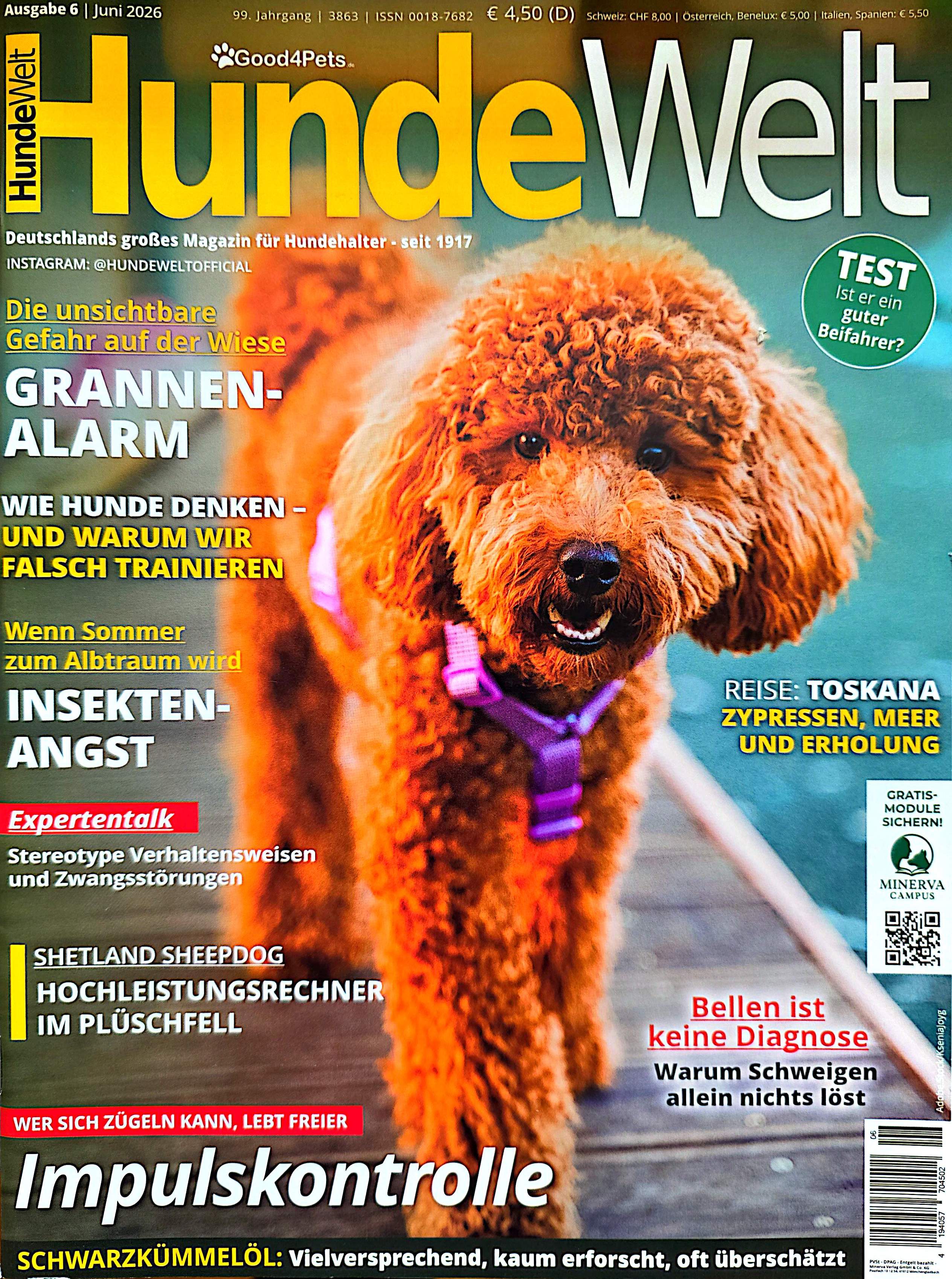 Hundeschule Nürnberg Fürth Erlangen