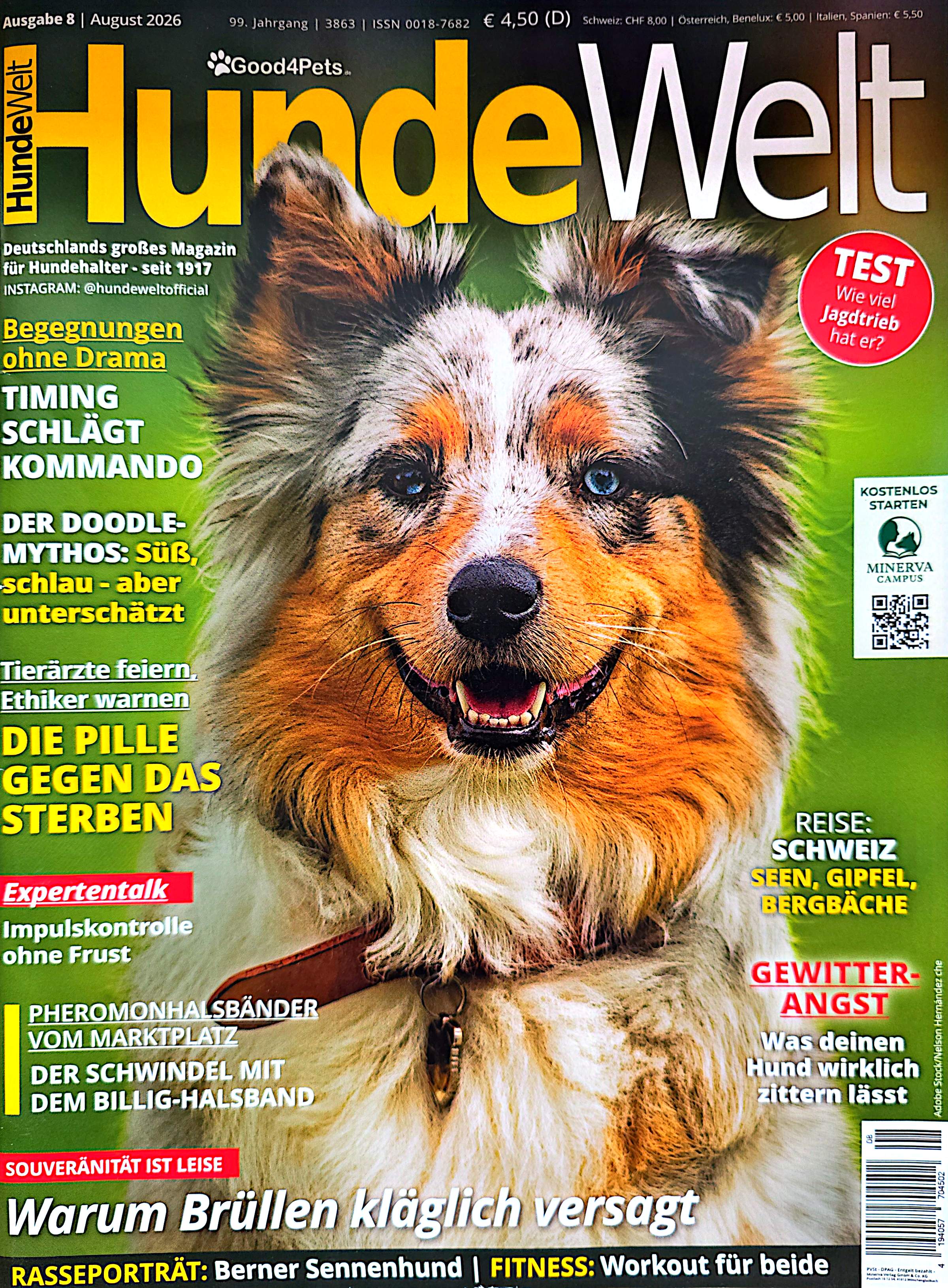 Hundeschule Nürnberg Fürth Erlangen