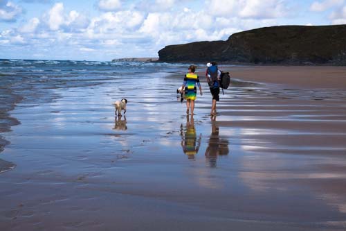 strand mit hund